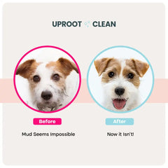 Uproot QuickClean™ Gloves Pro (2 Pack)