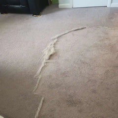 Uproot Cleaner Xtra™